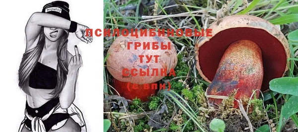 2c-b Дмитриев