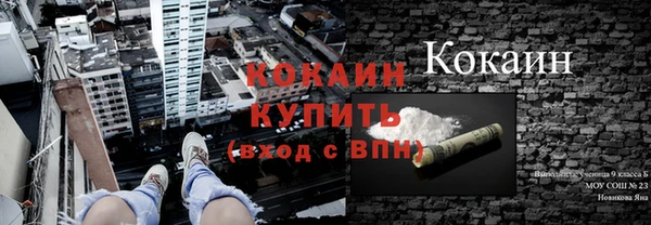 2c-b Дмитриев