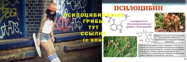 прущие крисы Дмитровск