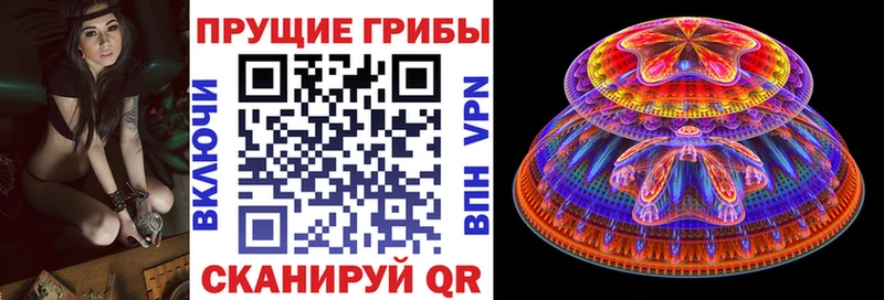 MEGA ссылка  Звенигород  Псилоцибиновые грибы Psilocybe 