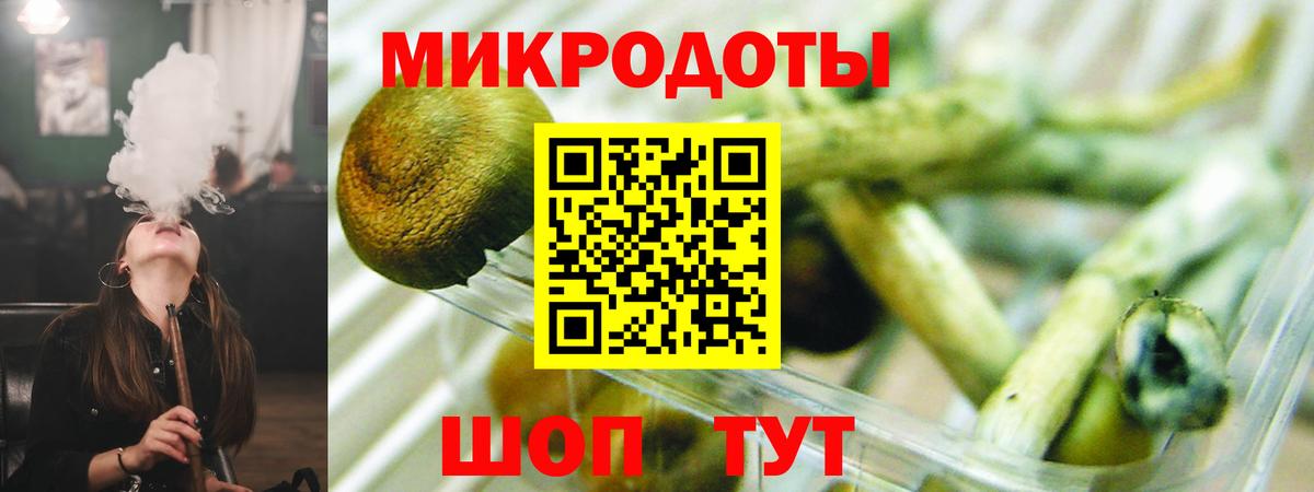 Звенигород  Псилоцибиновые грибы прущие грибы  Вход с VPN 
